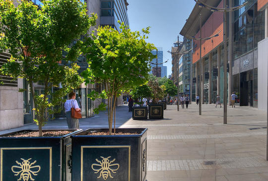 Potted trees on New Cathedral Street, Manchester