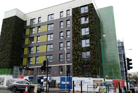 Green wall on new building development