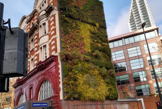 Green living wall at Elephant & Castle