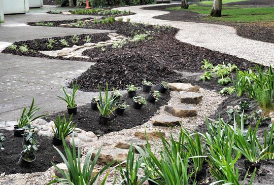 Garden at Moorland Junior School