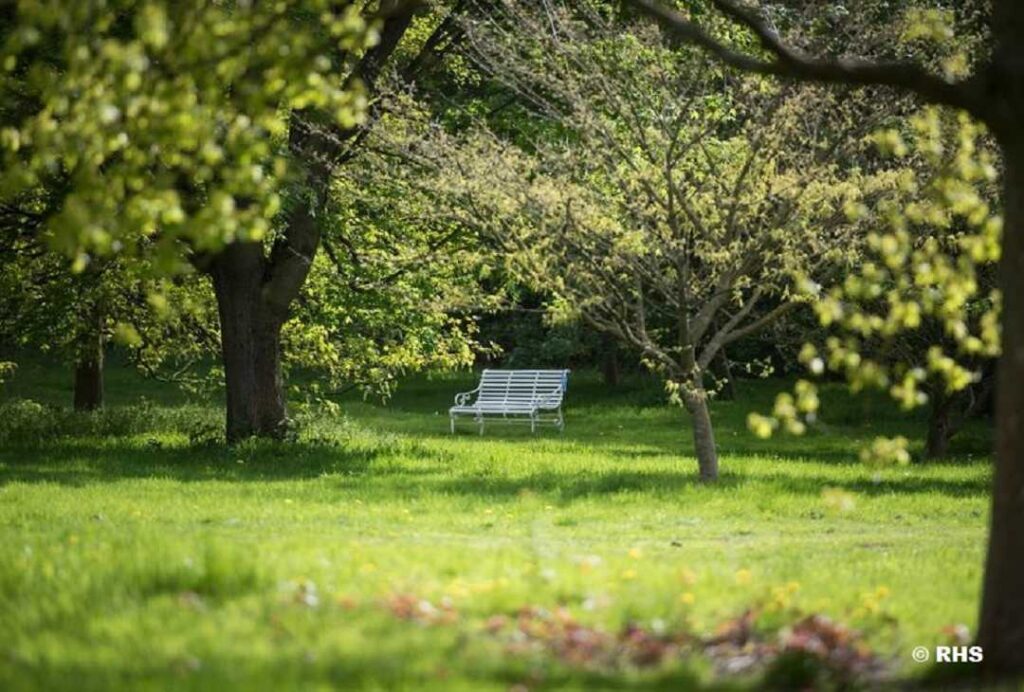 White bench amongst trees