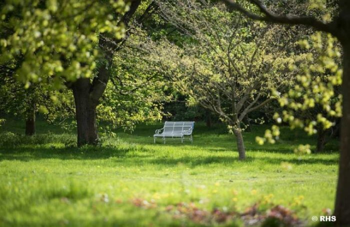 White bench amongst trees