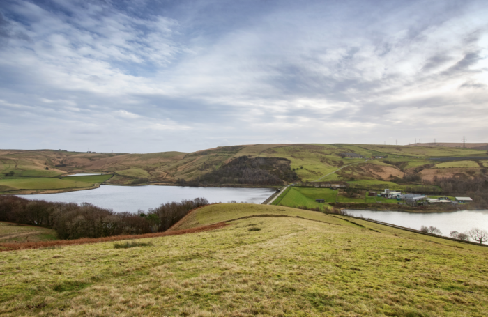 Photograph of a reservoir surrounded by green space