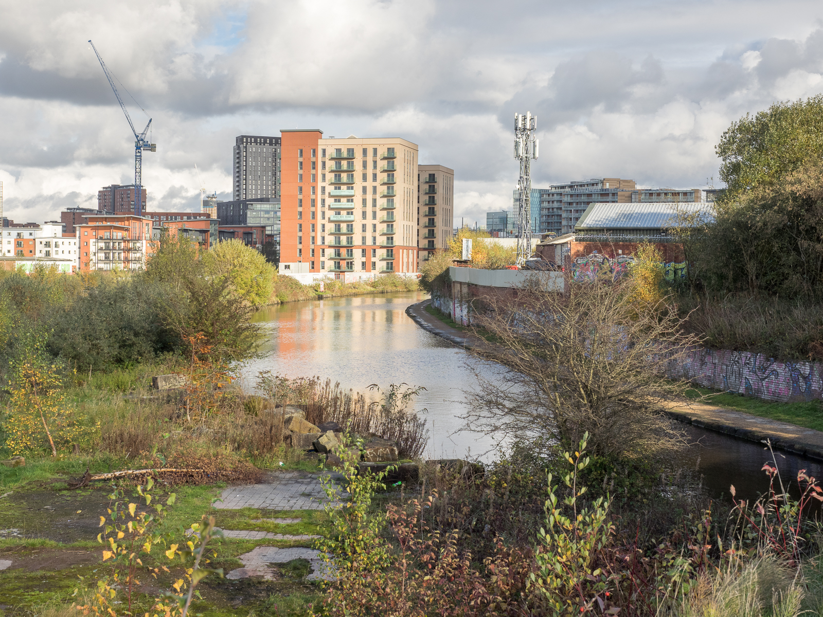 Biodiversity Net Gain Explained GMGreenCity