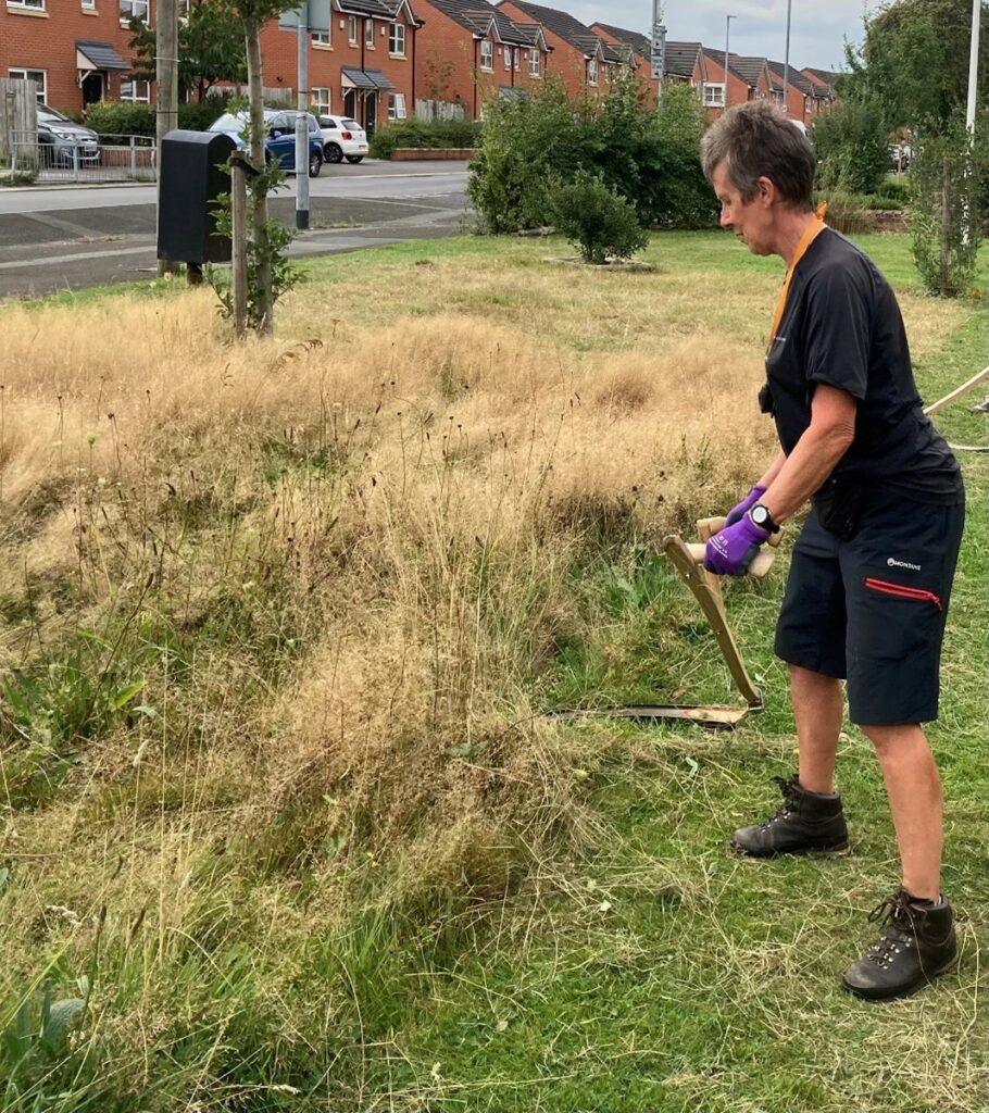 Debbie scything meadow plots