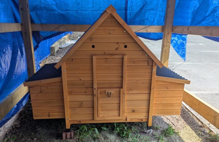 Snippet Chicken Coop Parohial Primary School