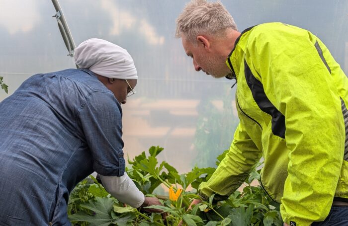 Two people examine plants in a greenhouse, one wearing a white headscarf and denim shirt, the other in a bright yellow jacket.