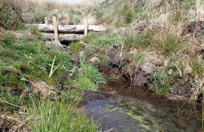 A small stream flows through grassy moorland beneath a simple wooden leaky dam made from stacked logs and posts. Tall reeds and rough vegetation line the banks, with shallow water pooling in the foreground on a bright day.